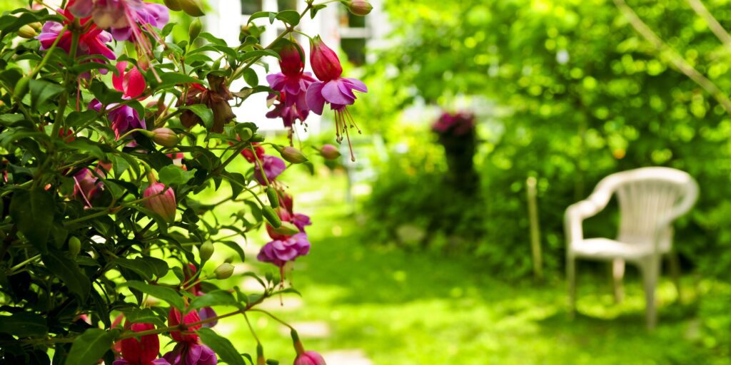 Outdoor space garden 